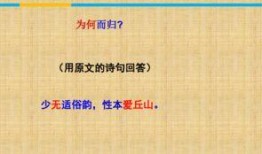 归去2最新爆料是哪一集,揭秘剧情高潮迭起，第XX集引观众热议！